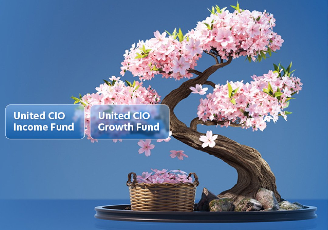 United CIO funds